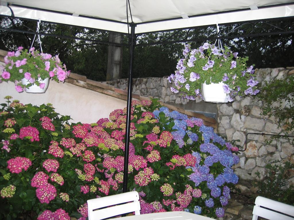 Bed and Breakfast La Frandomiere Saint-Martin-de-Londres Экстерьер фото